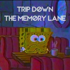 Trip Down The Memory Lane