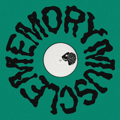 PREMIERE: Romain FX - Who Knows [Memory Muscle]