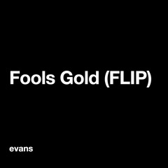 Ship Wrek - Fools Gold (evans Flip)