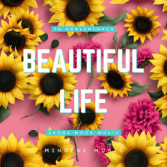 Beautiful Life