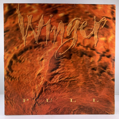 Junkyard Dog (Tears on Stone) - Winger Remix