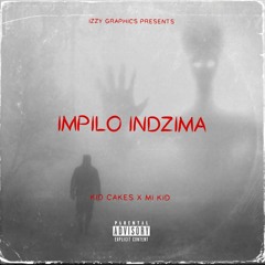 Impilo inzima (feat. M.i kid)[prod. fuzz]