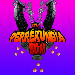 ST7V-PERREKUMBIA EDM