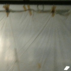 lilith-nena venetsanou