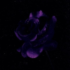 Lavender Rose ft L.S.I.D & Z!ON