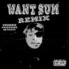 WANT SUM Remix Ft (G$ Guapo)