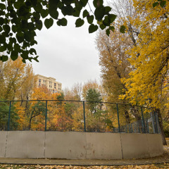 Когда то он станет счастливым