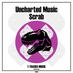 Scrab - Original Mix (Visualizer) Radio Edit