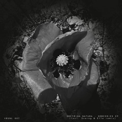 B2. Doctrina Natura - Witch Blood (Svarog Remix)