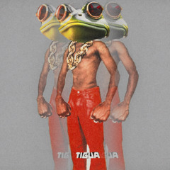 MommaNem - Tyler, The Creator  (Tigua Flip)