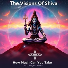 The Visions Of Shiva - How Much Can You Take(NTL Project RMix)