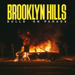 Brooklyn Hills - Bulls On Parade (Rage Against The Machine cover)