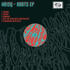 Hrisq - Paradox