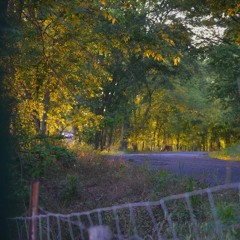 Open Letter- Printts A & Jay Veaux