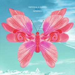 Tritonal & Evalyn - Real (Unofficial Remix)