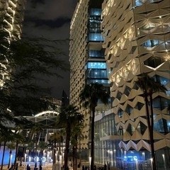 Malette Cashe (freeze corleone et veerus)