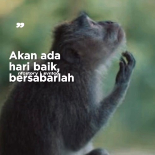 DILARANG MELARANG #Vvip [GTR FAMILY ] #ndhiiikaaa___