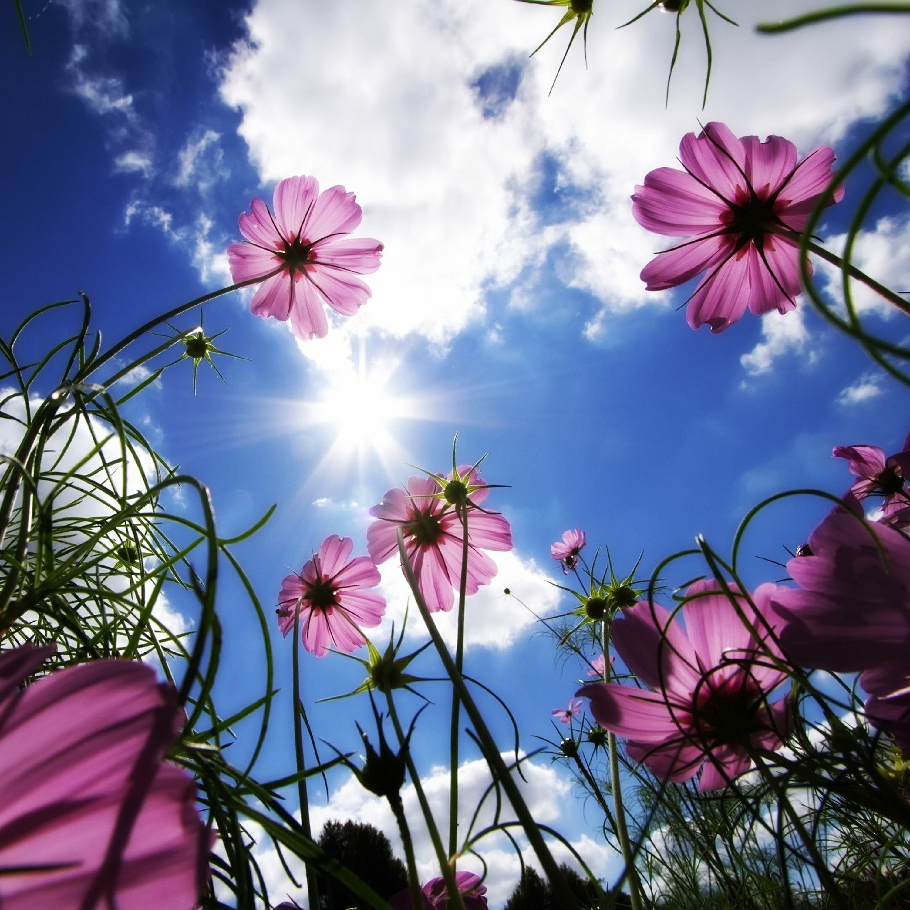 -THE SPRING DAY- A Deep & Tech House Session Mixed By Diet (21.03.2022) episode artwork