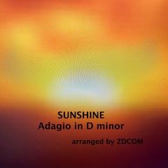 Sunshine - (Adagio in D minor- Composed by John Murphy)