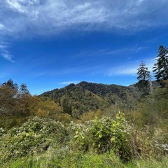 again ( cohen x beck )