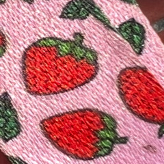 i should be over it (prod. me)