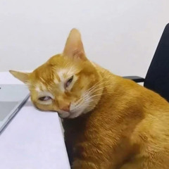 Anh Thua Anh Ta - Ca Sĩ Giấu Mặt Cover- Tuanlamnhac