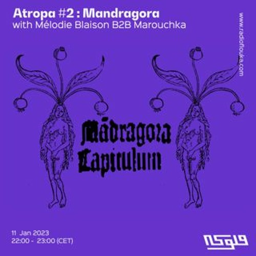 Stream ATROPA #2 Mandragora : Mélodie Blaison B2B Marouchka - 11/01/2022 by  Radio Flouka راديو فلوكة | Listen online for free on SoundCloud