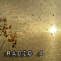 Radio 4 (Shi) - Nguyễn Đình Toàn