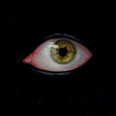 icantbesilent