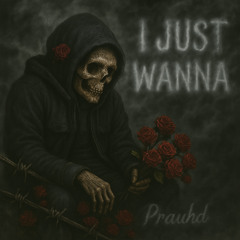 I Just Wanna