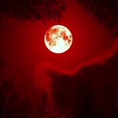 Universe - blood moon slowed