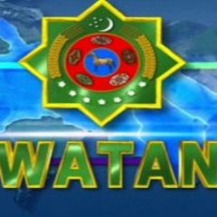 Watan - Watanství