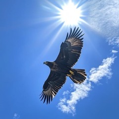 EagleFlin (Tropica mix) 💿🧑‍💻💫