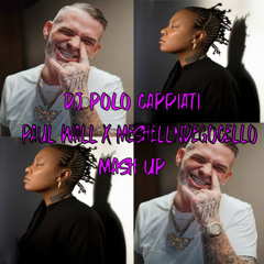 PAUL WALL XMESHELL NDEGEOCELLO OFFICIAL MASH UP