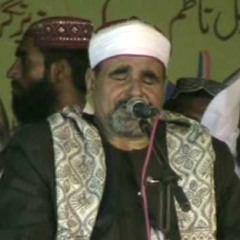 القارئ الشيخ السيد متولي عبد العال - مقام رست