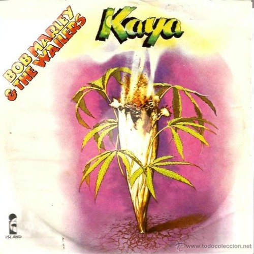 artworks-kpvlkLvUya2ReoGa-0xdHmw-t500x500.jpg