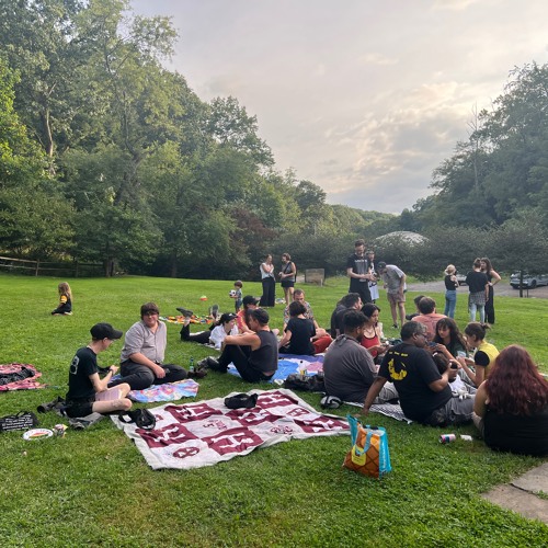 brainwave research center live at electric picnic pgh 2023