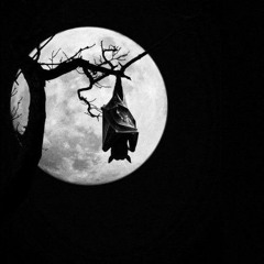 Full Moon