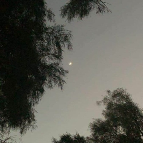 Ghé Qua (LOFI VERSION) - Dick Ft. PC x ToFu.opus