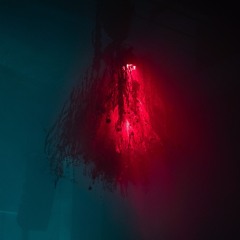 Re:wind || 003 @ FESTAFEST