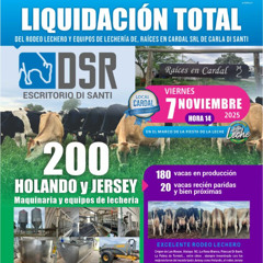 Federico Di Santi - Remate Raíces de Cardal