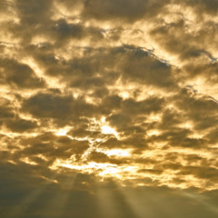 Golden Skies