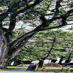 im not above it (dullxx)