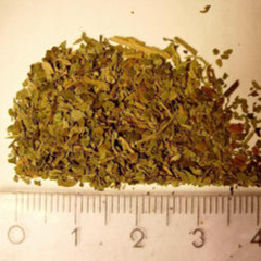 One Hit of Salvia (feat. Laz Lowkey)