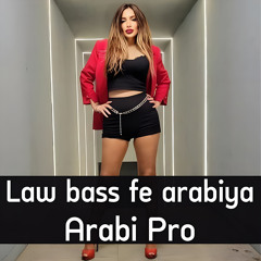 Law bass fe arabiya