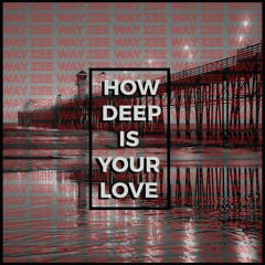 Calvin Harris - How Deep Is Your Love (Zee Remix)