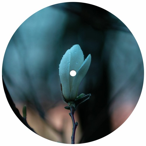 Stream Men I Trust Tree Among Shrubs (DJ Lab & Boreal Edit) [HZRX] by