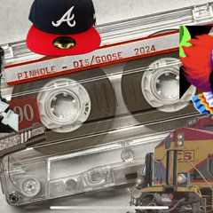 PINHOLE-DIS/GOOSE 2024.mp4.mp3