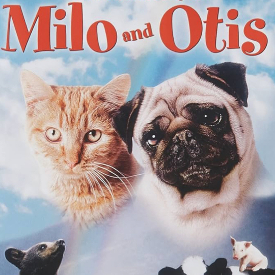 Stream Milo & Otis by NewStorm! | Listen online for free on SoundCloud