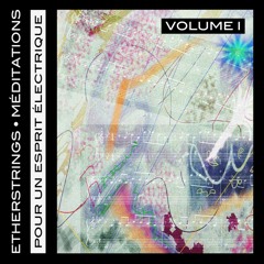 Méditations Pour Un Esprit Électrique Vol. 1